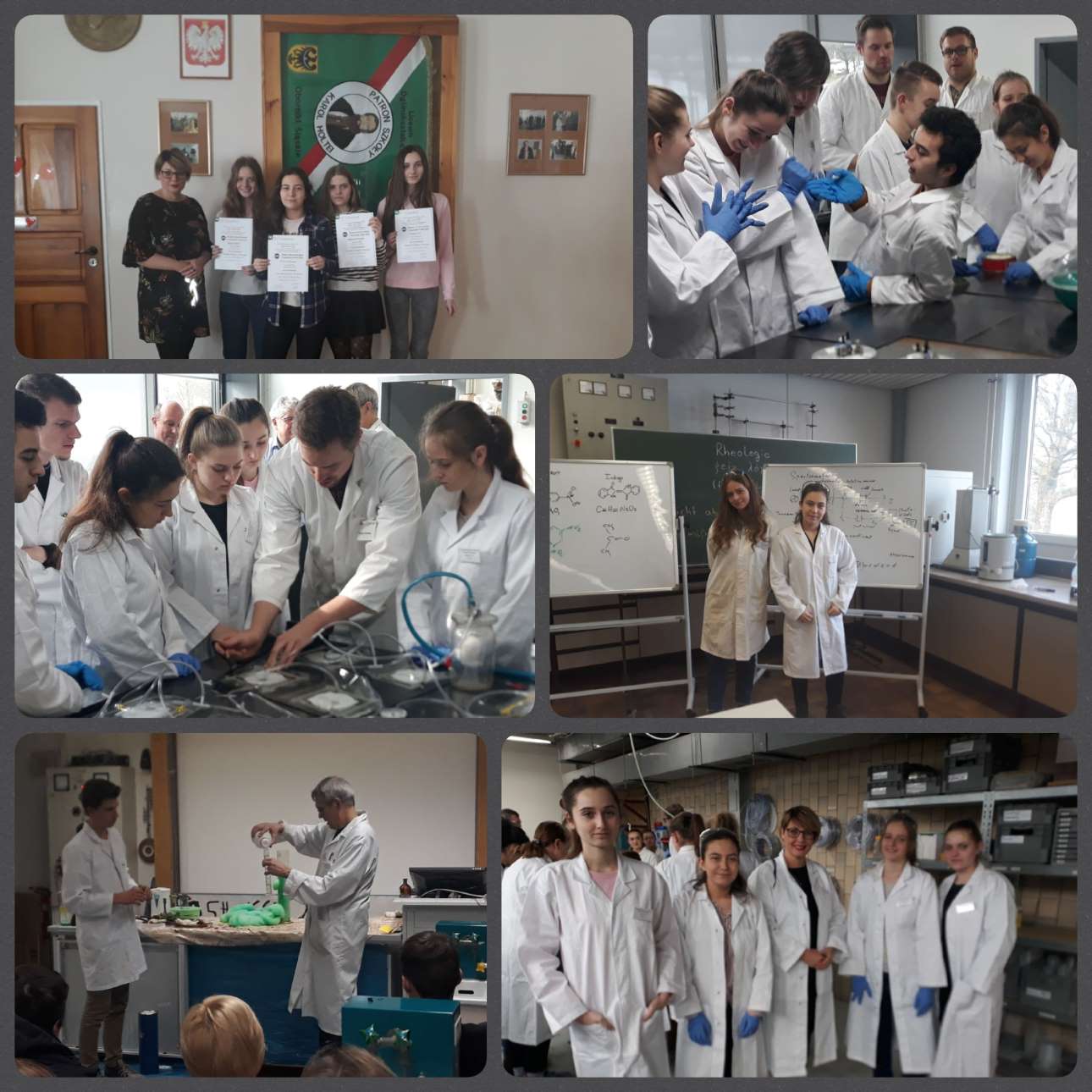 52983095 416458839160049 7872074432456425472 n