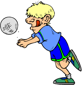 siatkowka.gif - 11.21 Kb