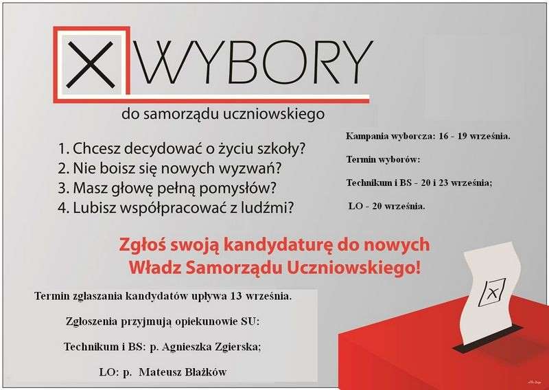 wybory